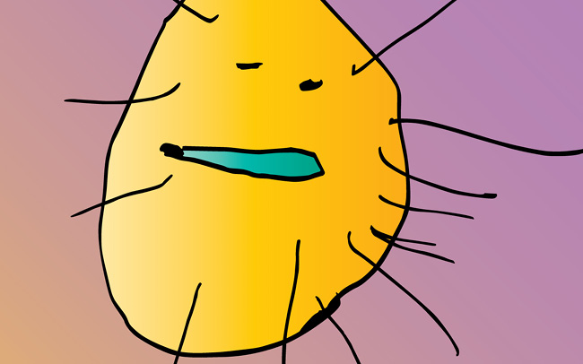 KolorNiebo – ilustracje i animacje inspirowane rysunkami dzieci EN